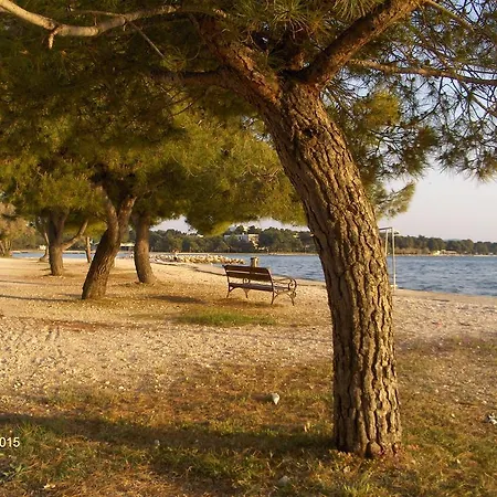 Apartment Tome Diklo